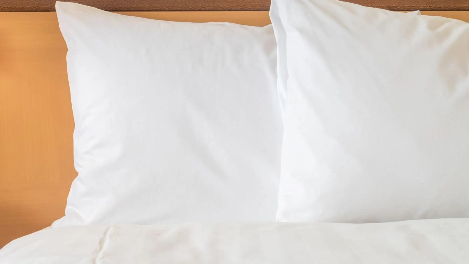 Hotel Indigo Warsaw Nowy Swiat By Ihg